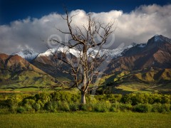 NEW ZEALAND Te Anau